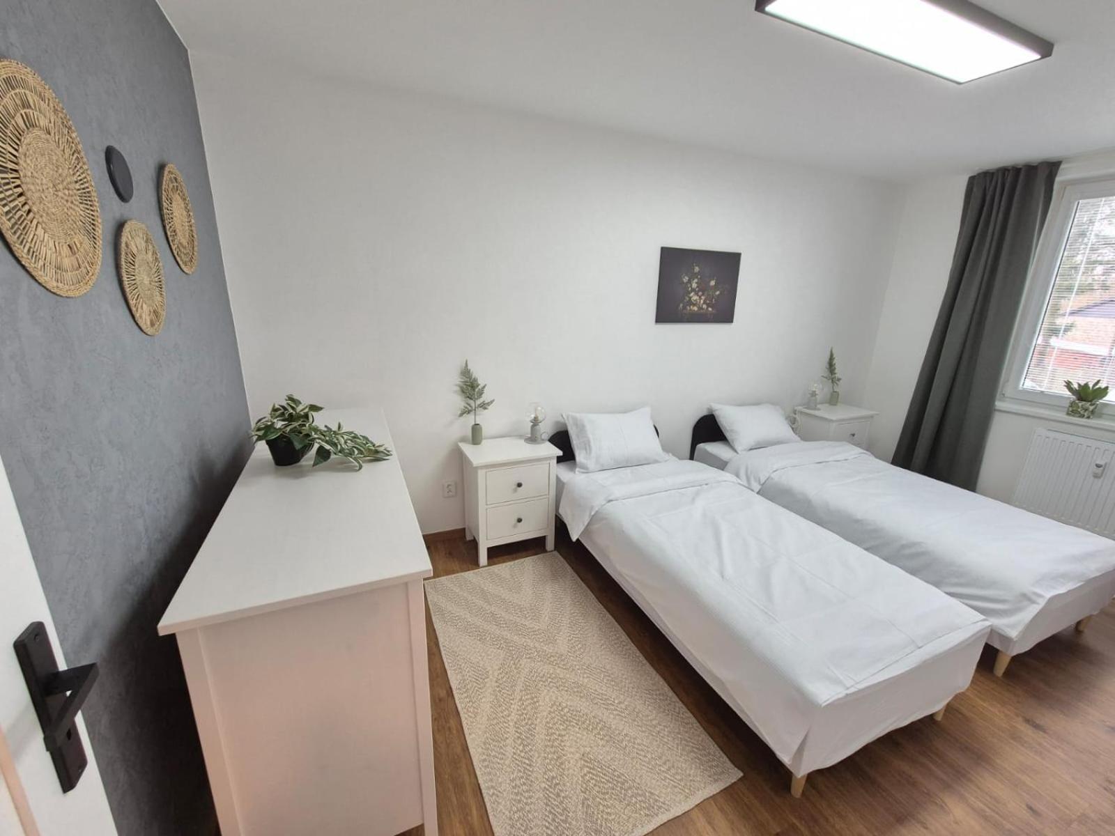 Apartment U Zamku - Self Check In - Airport Osr Mosnov
